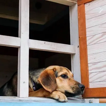 Grand Panorama Oda ve Kahvaltı